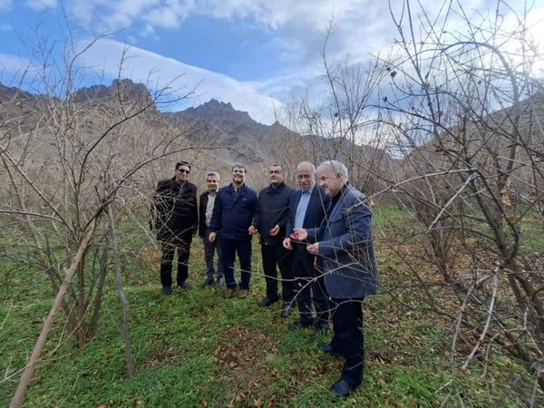 هم‌افزایی سازمان برنامه و بودجه و جهاد کشاورزی برای ارتقای بهره‌وری آب