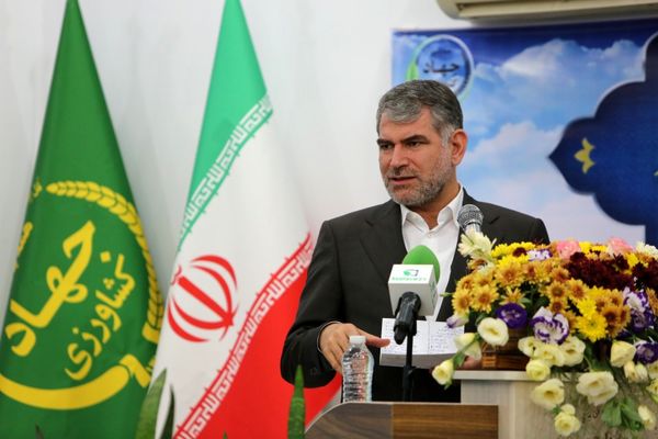 راهاندازی سامانه "ستکاوا" برای عرضه عمده مرغ  گرم از هفته آینده