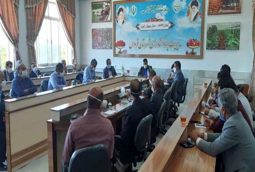 در خوراک دام، با کمبود مواجه نیستیم