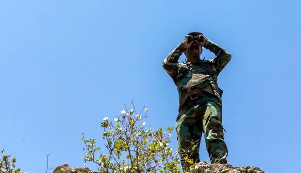 اگر امروز هنوز جنگلی در شمال، کوهی در غرب و مرتعی در شرق نفس میکشد، بهواسطه ایستادگی جنگلبانان است