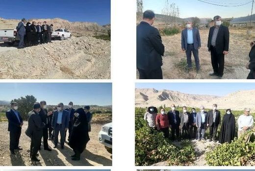 بازدید معاون باغبانی وزیر جهاد کشاورزی از سایت های باغبانی شهرستان ایوان