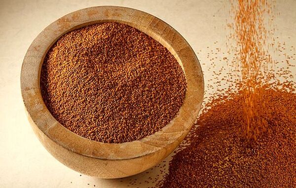 کشت خاکشیر برای اولین بار در فراشبند