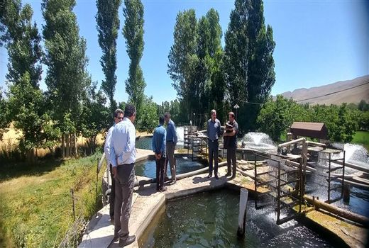 تکمیل اولین زنجیره تولید  و عرضه محصولات شیلاتی در شهرستان سراب  استان آذربایجان شرقی