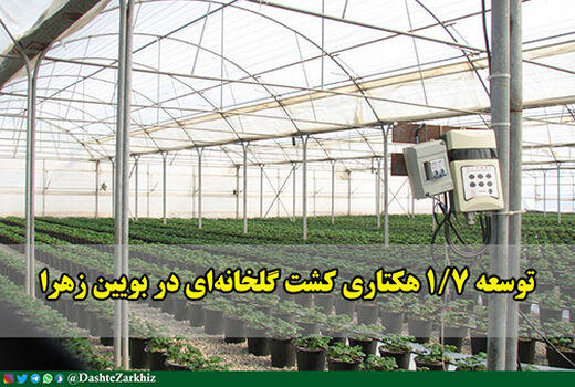 سطح کشت گلخانه‌های بویین زهرا 1.7 هکتار توسعه می‌یابد