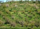 بهره مندی از مجوز تثبیت بنای غیر مجاز در باغات