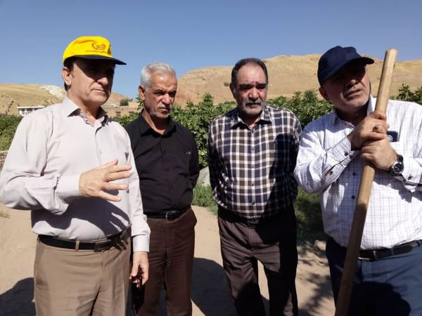بازدید معاون وزیر جهاد کشاورزی از باغات سیلزده پلدختر و معمولان