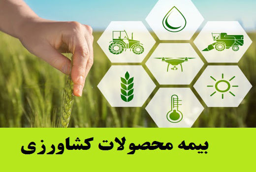 کشاورزان دشتی نسبت به بیمه محصولات اقدام کنند