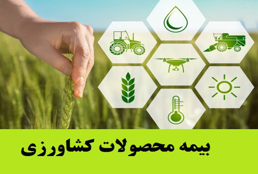 کشاورزان دشتی نسبت به بیمه محصولات اقدام کنند