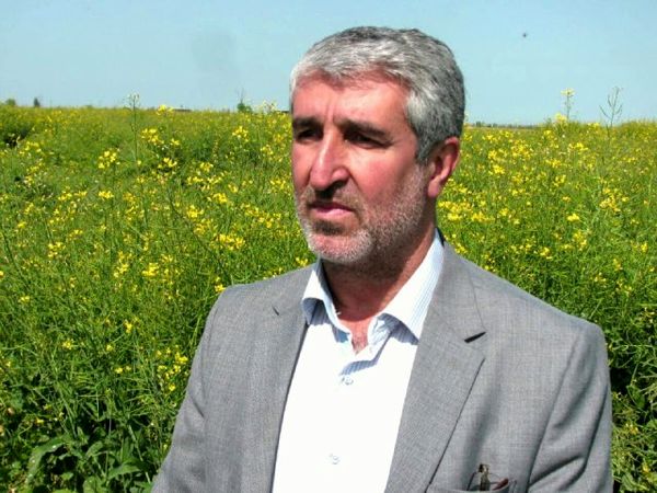 گلستان پیشرو مرحله نخست طرح نظام نوین ترویج در کشور شناخته شد