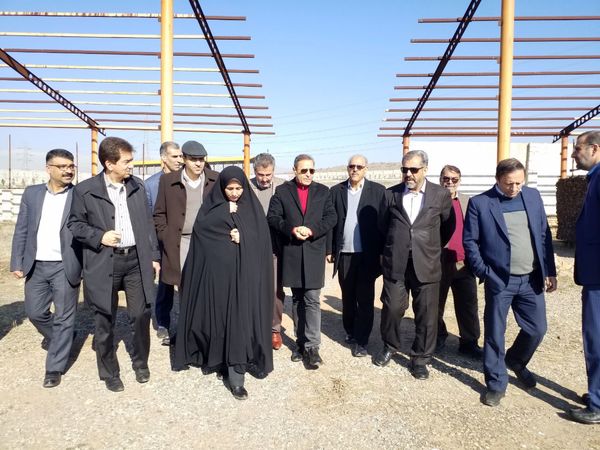 بازدیداستاندار قزوین از عملیات اجرایی یک واحد گلخانه در شهرستان آبیک