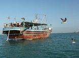 ترافیک تورهای صیادی برای صید ماهیان خلیج فارس/ کشتی‌های تغییر پرچم داده، بلای جان صنعت شیلات ایران