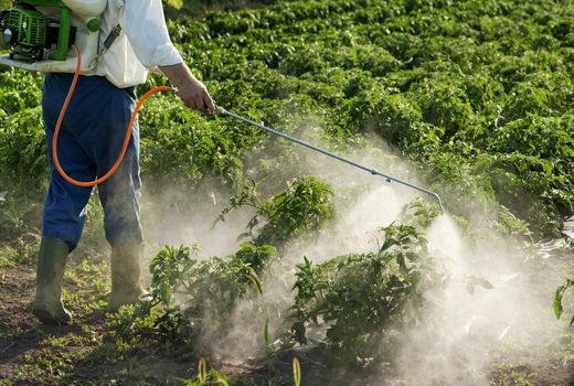 طرح نظارت بر فروشگاه‌های سموم دفع آفات نباتی اجرا می‌شود