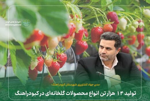 تولید ۱۴ هزار تن انواع محصولات گلخانه‌ای در کبودراهنگ 