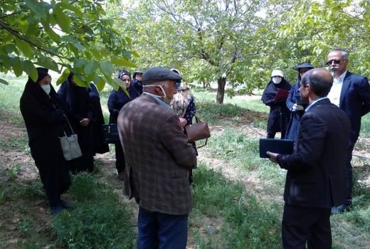 برگزاری سایت الگویی محصول سالم ویژه زنان روستایی