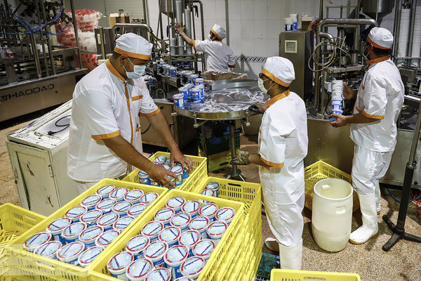 ایران بزرگ‌ترین صادرکننده لبنیات در آسیا