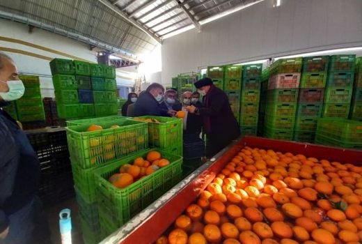 400 میلیارد تسهیلات به سورتینگ داران ساروی پرداخت شد