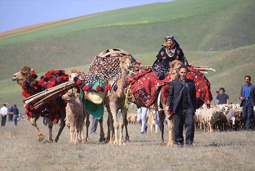 سال ۲۰۲۶ سال بین‌المللی مرتع و عشایر / تدوین برنامه ملی برای بهره‌برداری از فرصت جهانی ضروری است