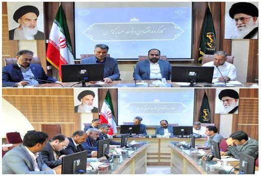 تبیین و تشریح فرآیند بررسی تسهیلات پرداختی در جلسه کارگروه اقتصادی