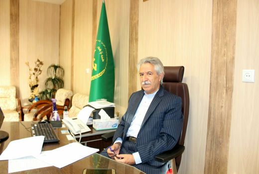 پیش‌بینی تولید ۲۳۶هزار تن گندم از مزارع شهرستان کرمانشاه