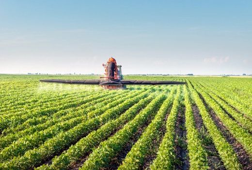 100 درصد سطح زیر کشت سویا در آرژانتین تراریخته است