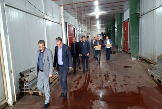 بازدید از سردخانه‌های اهر برای تامین سیب شب عید