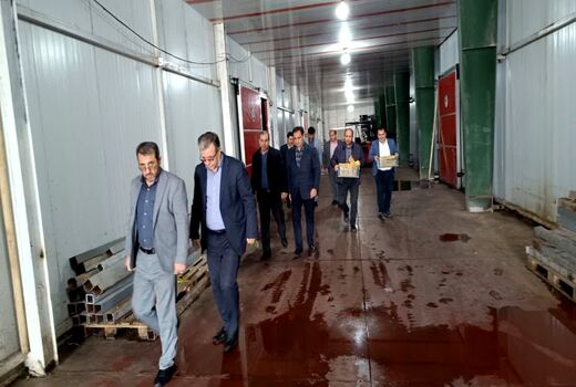 بازدید از سردخانه‌های اهر برای تامین سیب شب عید