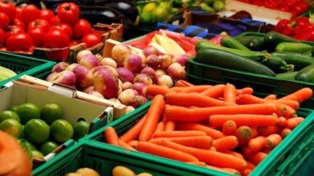 اجرای 5 پروژه دانشبنیان برای افزایش کیفیت محصولات کشاورزی