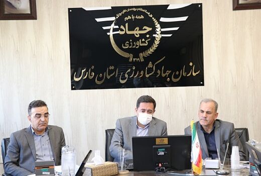 اتخاذ سیاست های تشویقی برای کشت کلزا در فارس