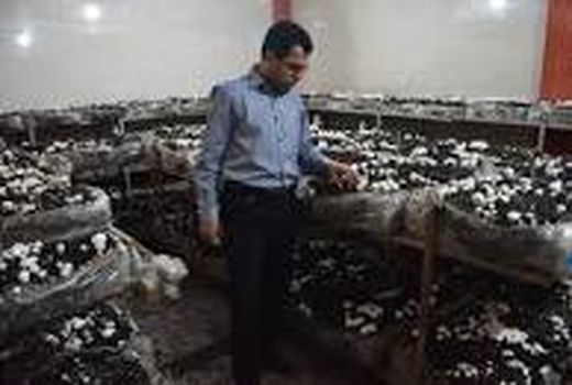 سربازان نیروی انتظامی بهارستان شیوه های پرورش قارچ خوراکی را فراگرفتند