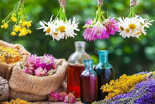 کشت گیاهان دارویی، راهی برای توسعه پایدار در استان چهارمحال وبختیاری 