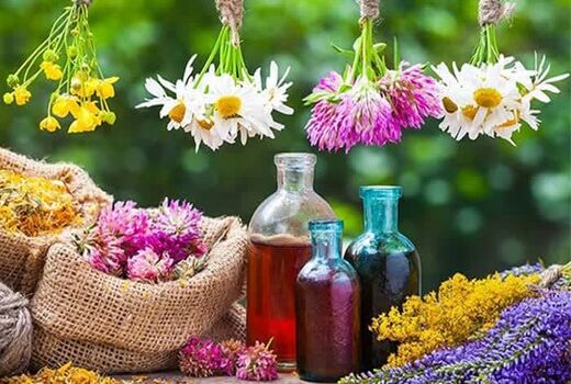 کشت گیاهان دارویی، راهی برای توسعه پایدار در استان چهارمحال وبختیاری 