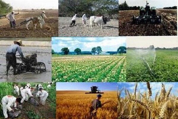 طرح استقرار کشاورزی پایدار در سطح ۴۰ روستای ارومیه اجرا می شود