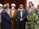  افتتاح اولین گلخانه هیدروپونیک تولید صیفی جات در شهرستان ازنا
