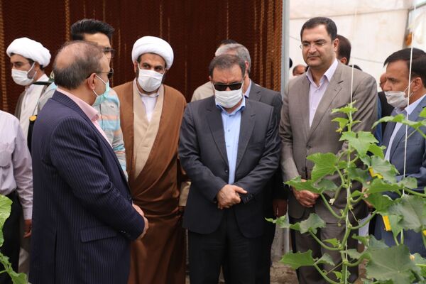  افتتاح اولین گلخانه هیدروپونیک تولید صیفی جات در شهرستان ازنا