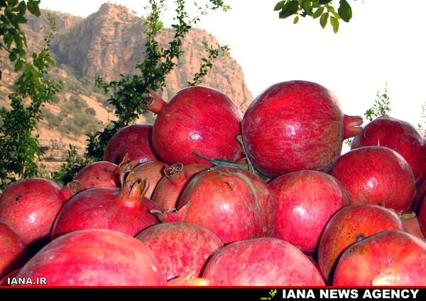 انارستان 