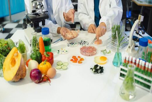 از طراحی فرمول تا تولید صنعتی؛ خدمات تحقیق و توسعه در کنار صنایع غذایی