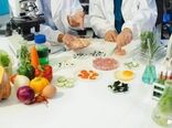 از طراحی فرمول تا تولید صنعتی؛ خدمات تحقیق و توسعه در کنار صنایع غذایی