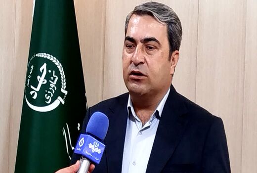 خرید تضمینی گندم در کهگیلویه و بویراحمد از مجموع سال گذشته عبور کرد