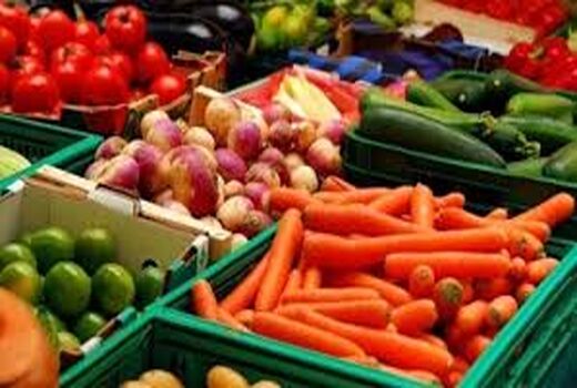 تولید بیش از 2600تن محصول گواهی شده در بیضا
