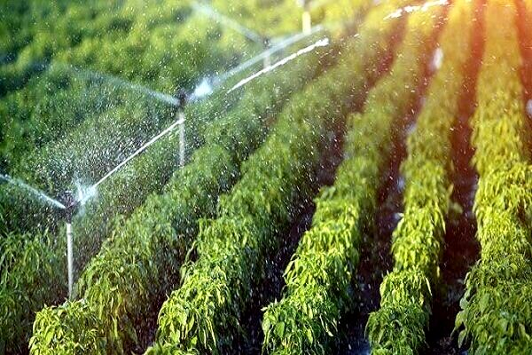 طرح‌های نوین آبیاری در ۱۳۰هزارهکتار ازاراضی کشاورزی اصفهان اجراشد