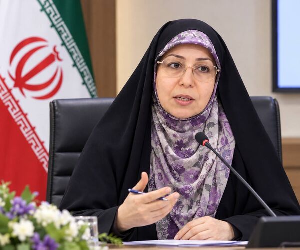 صندوق‌های اعتبارات خرد توانمندسازی  زنان روستایی و عشایری را تسهیل می کند
