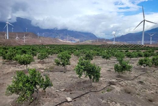 ۱۷۳ مجوز تغییر کاربری در استان قزوین صادر شد