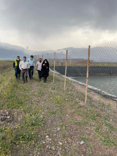 بازدید رئیس سازمان جهاد کشاورزی استان قزوین از ایستگاه پمپاژ قوشچی و مرتضانک در طارم سفلی