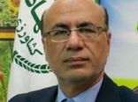 خریداری 1500 راس دام از عشایر استان ایلام
