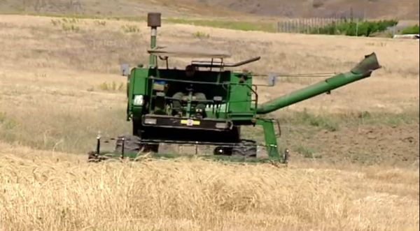 پوشش ۱۱۰ هزار هکتار از اراضی دیم بیجار در طرح جهش تولید دیمزار‌ها