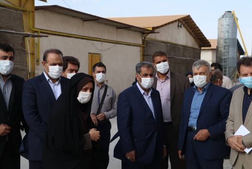 بازدید استاندار قزوین از واحدمرغ تخمگذار در شهرستان تاکستان
