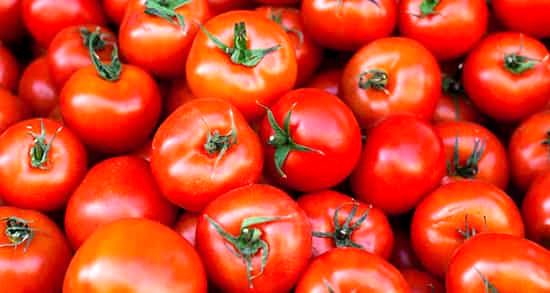 گوجه‌های نوبر استان بوشهر به بازار رسید