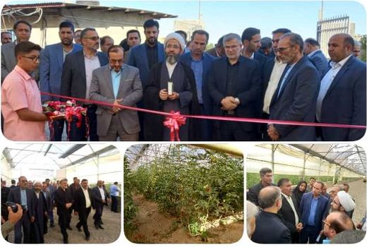 افتتاح گلخانه سبزی و صیفی در شهرستان چهارباغ