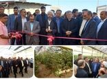 افتتاح گلخانه سبزی و صیفی در شهرستان چهارباغ