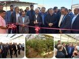 افتتاح گلخانه سبزی و صیفی در شهرستان چهارباغ